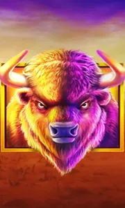 Buffalo King